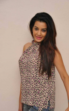 Diksha Panth New Latest HD Photos Jr NTR Bigg Boss Telugu Show Heroine Diksha Panth Photo Shoot Images