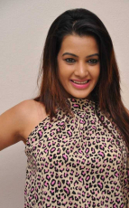 Diksha Panth New Latest HD Photos Jr NTR Bigg Boss Telugu Show Heroine Diksha Panth Photo Shoot Images