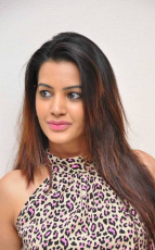 Diksha Panth New Latest HD Photos Jr NTR Bigg Boss Telugu Show Heroine Diksha Panth Photo Shoot Images