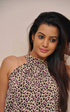 Diksha Panth New Latest HD Photos Jr NTR Bigg Boss Telugu Show Heroine Diksha Panth Photo Shoot Images