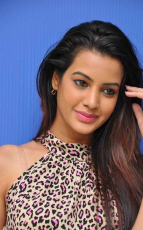 Diksha Panth New Latest HD Photos Jr NTR Bigg Boss Telugu Show Heroine Diksha Panth Photo Shoot Images