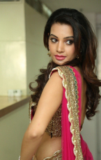 Diksha Panth New Latest HD Photos  Jr NTR Bigg Boss Telugu Show Heroine Diksha Panth Photo Shoot Images