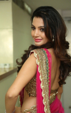Diksha Panth New Latest HD Photos  Jr NTR Bigg Boss Telugu Show Heroine Diksha Panth Photo Shoot Images
