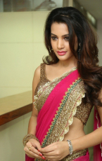 Diksha Panth New Latest HD Photos  Jr NTR Bigg Boss Telugu Show Heroine Diksha Panth Photo Shoot Images