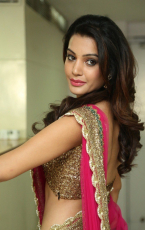 Diksha Panth New Latest HD Photos  Jr NTR Bigg Boss Telugu Show Heroine Diksha Panth Photo Shoot Images