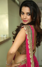 Diksha Panth New Latest HD Photos  Jr NTR Bigg Boss Telugu Show Heroine Diksha Panth Photo Shoot Images