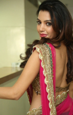 Diksha Panth New Latest HD Photos  Jr NTR Bigg Boss Telugu Show Heroine Diksha Panth Photo Shoot Images