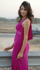 Diksha Panth New Latest HD Photos  Jr NTR Bigg Boss Telugu Show Heroine Diksha Panth Photo Shoot Images
