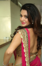 Diksha Panth New Latest HD Photos  Jr NTR Bigg Boss Telugu Show Heroine Diksha Panth Photo Shoot Images