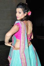 Diksha Panth New Latest HD Photos  Jr NTR Bigg Boss Telugu Show Heroine Diksha Panth Photo Shoot Images