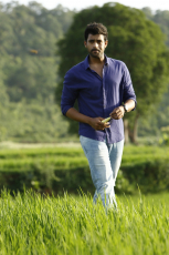 Fidaa Movie HD Stills Varun Tej, Sai Pallavi Photos