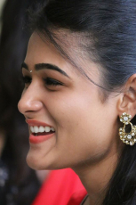 Shalini Pandey New Latest HD Photos Arjun Reddy Movie Heroine Shalini Pandey Photo Shoot Images