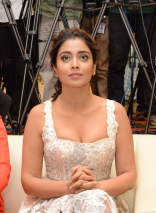 Shriya Saran New Latest HD Photos | Paisa Vasool Movie Heroine Shriya Saran Photo Shoot Images