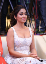 Shriya Saran New Latest HD Photos | Paisa Vasool Movie Heroine Shriya Saran Photo Shoot Images