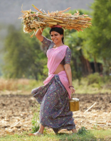 Samantha Ruth Prabhu New Latest HD Photos Rangasthalam Movie Heroine Samantha Ruth Prabhu Photo Shoot Images