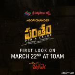 Gopichand Pantham Movie First Look ULTRA HD Posters WallPapers | Mehreen Pirzada