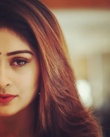 Payal Rajput New Latest HD Photos | RX100 RDX Love Movie Heroine Payal Rajput Photo Shoot Images