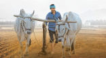 Maharshi Movie HD Photos Stills | Mahesh Babu, Pooja Hegde, Allari Naresh Images, Gallery