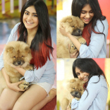 Adah Sharma New Latest HD Photos | Commando 3 Movie Heroine Adah Sharma Photo Shoot Images