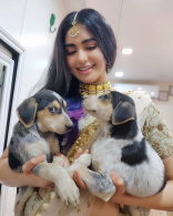 Adah Sharma New Latest HD Photos | Commando 3 Movie Heroine Adah Sharma Photo Shoot Images