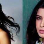 Shocker: Sridivya Golden Chance Replaces Samantha Role in Banglore Days!