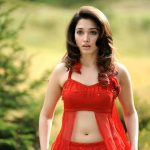 Tamannaah To Don The Same Role As Of Oopiri Movie in Its Bollywood Remake